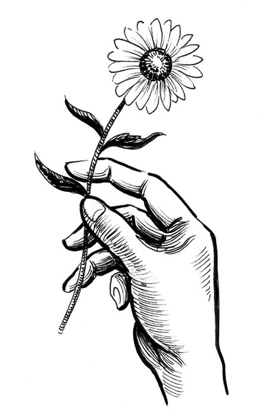 Mano sosteniendo una flor. Dibujo en blanco y negro de tinta - Foto, imagen