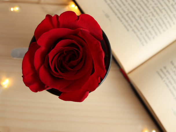 Punainen ruusu kupissa, jossa on avoin kirja. Kuva Sant Jordille. - Valokuva, kuva