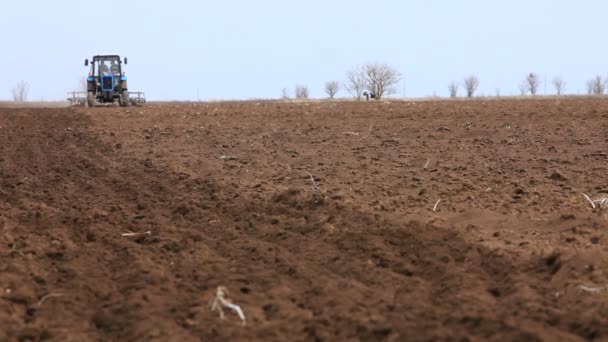 traktor pěstují zemědělské půdy - Záběry, video