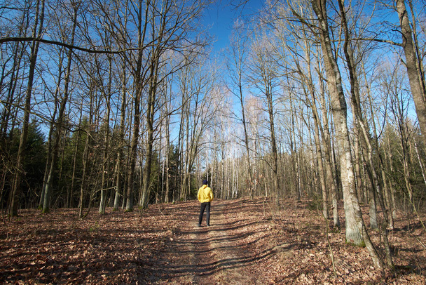 Hombre vestido con impermeable amarillo deambulando por el bosque
 - Foto, imagen