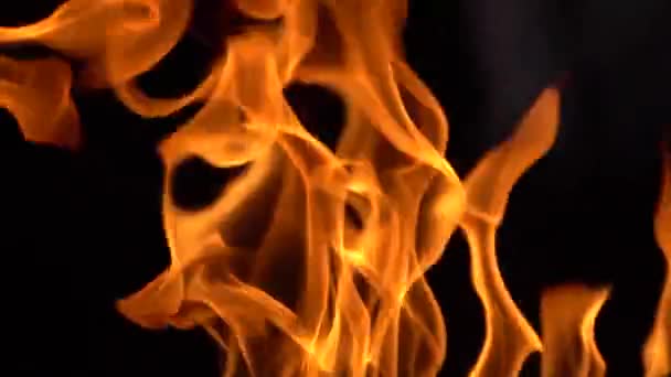 Fire and Burning Flames, Black Background. Close Up Slow Motion - Video