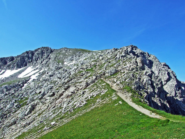 Alppivuoren huippu Augstenberg Malbuntalin alppilaaksossa ja Liechtensteinin Alppien vuorijonossa Malbun, Liechtenstein
 - Valokuva, kuva