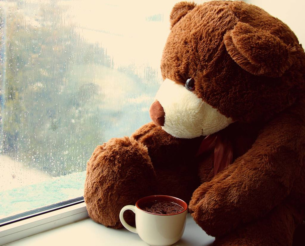 茶色いおもちゃのクマがお茶を飲みながら窓の上に座り、ガラスの雨粒を見ています。. - 写真・画像