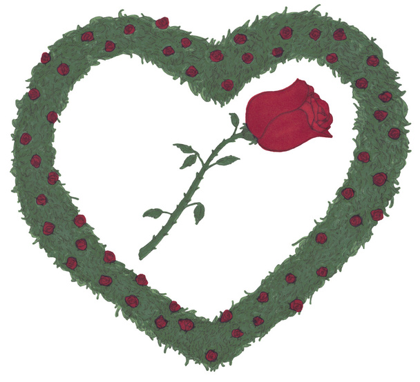 Троянда Роза серце кущі ілюстрація - Фото, зображення