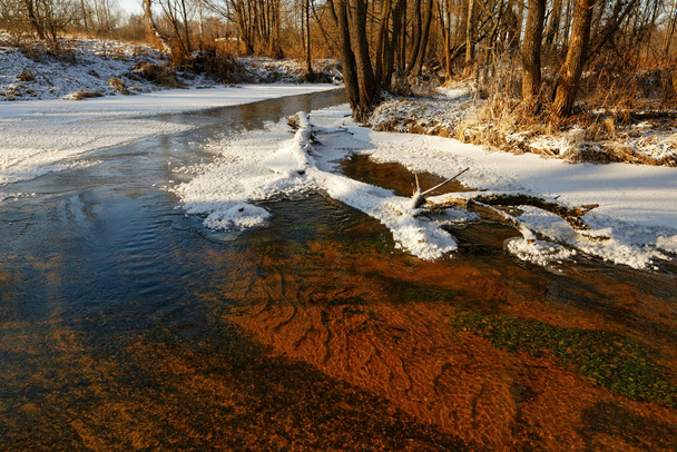 rivière forestière dans la glace au début du printemps 2020
 - Photo, image
