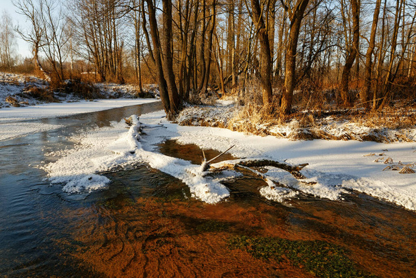 rzeka lasu w lodzie wczesną wiosną 2020 r. - Zdjęcie, obraz