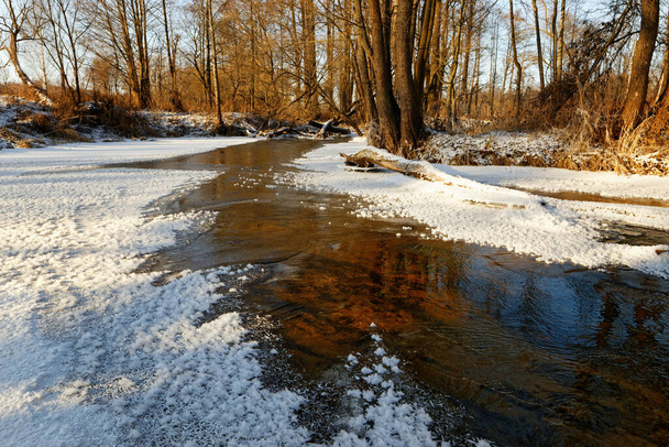 río forestal en hielo a principios de la primavera de 2020
 - Foto, Imagen