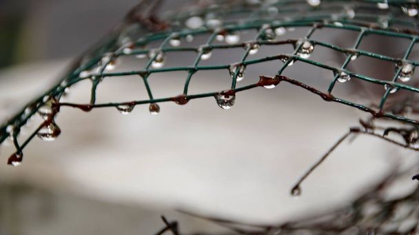 Gotas de agua en alambre de hierro después de haber estado expuesto a la lluvia, enfocado selectivamente, borroso y fuera de foco
 - Foto, imagen