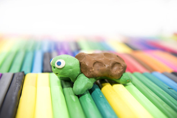 Play clay Animals. Turtle on colored background. - 写真・画像