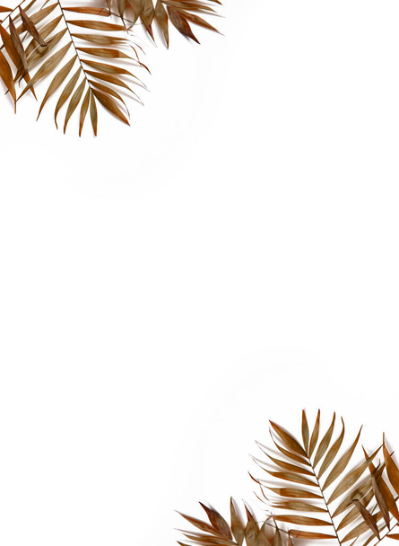 Creative layout made of colorful tropical leaves on white background. Minimal summer exotic concept with copy space. Border arrangement. - 写真・画像
