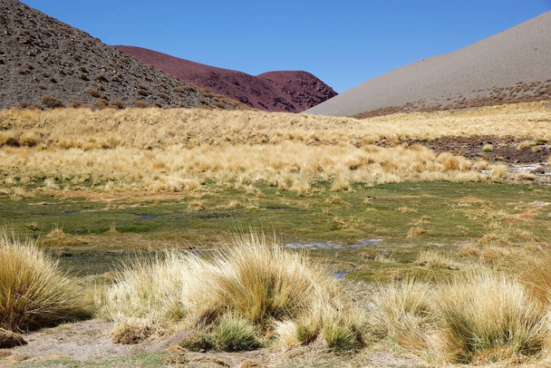 Paesaggio vulcanico alla Puna de Atacama, Argentina. Puna de Atacama è un arido altopiano delle Ande del Cile settentrionale e dell'Argentina. In Argentina il territorio di Puna si estende nelle province di Salta, Jujuy e Catamarca
 - Foto, immagini