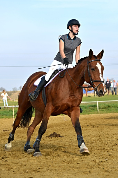 ló jumping verseny - Fotó, kép