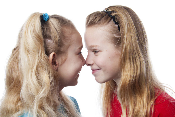 Two sisters nose to nose - Foto, imagen