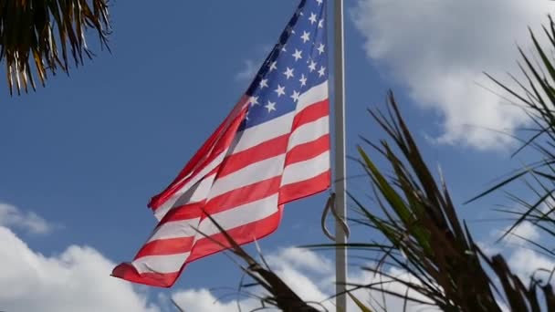 Amerikaanse vlag op de blauwe lucht met wolken - Video