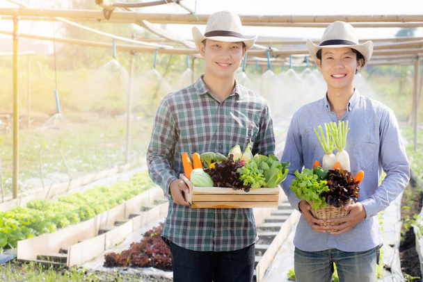 Krásný portrét mladý dva muži sklizeň a vyzvednutí čerstvé organické zeleniny zahrada v košíku na hydroponické farmě, zemědělství pro zdravé jídlo a podnikání podnikatelský koncept. - Fotografie, Obrázek