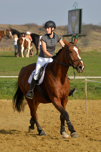 Cavalo na competição de salto
 - Foto, Imagem