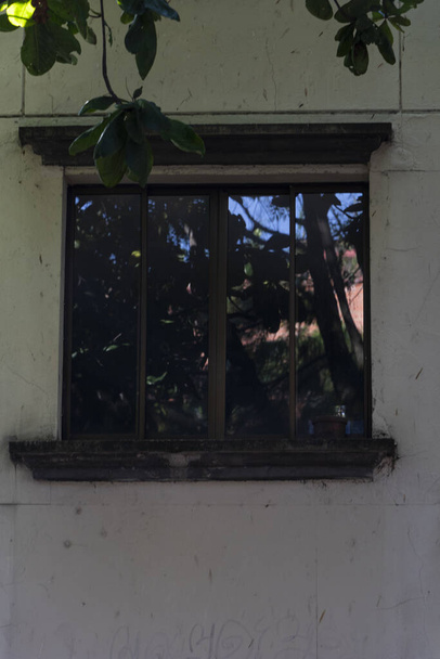 Ventana cerrada en tiempo de cuarentena en medellin Colombia oscura con reflejos de plantas de parque. - Foto, imagen