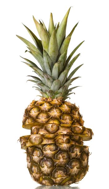 Large pineapple cut into slices, top green leaves isolated on white background - 写真・画像