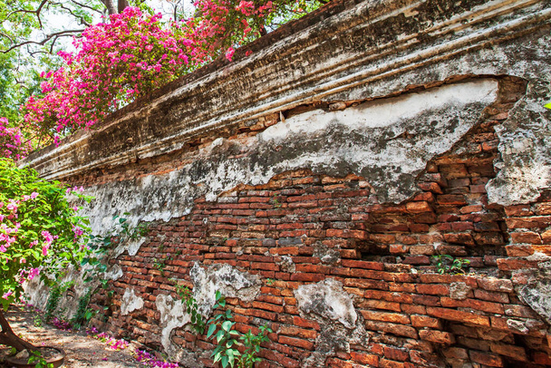 カラフルなブーゲンビリアの花は、要塞の古代のレンガの壁に咲き、古代のレンガの壁にテクスチャの芸術は、古いセメントで割れ、浸食、サムットプラカーン砦、タイ. - 写真・画像