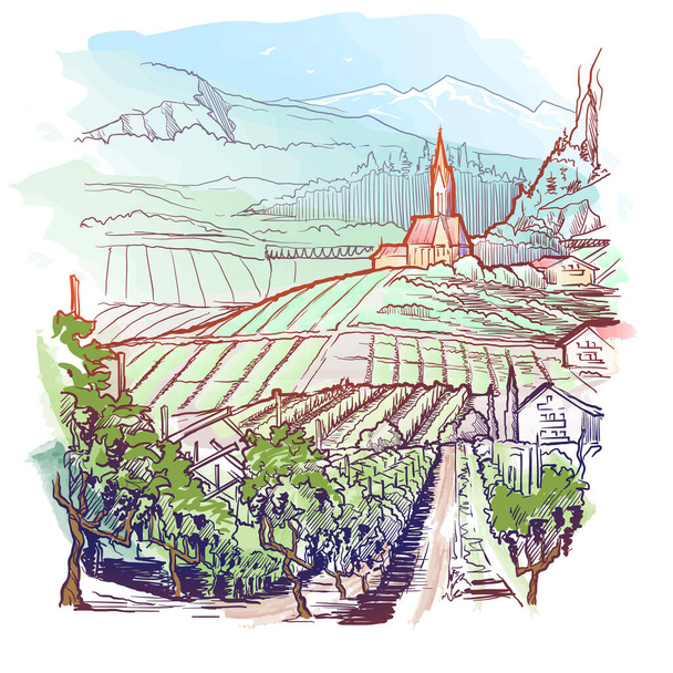 Vinyard in Tirol Alps, Austria. Rural panorama of the mountain valley with a grapevine plantation and village. Linear sketch on a watercolor textured background. - Vector, Image