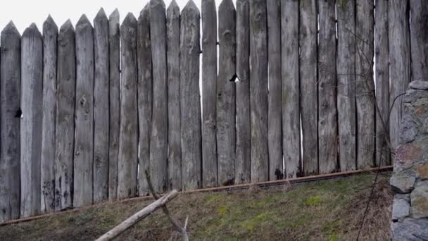 Oude houten muur van een houten huis. - Video