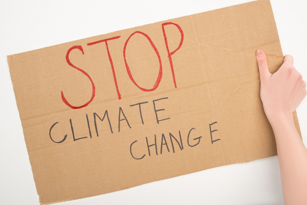 Widok kobiety trzymającej plakietkę z napisem "Stop zmianom klimatu" na białym tle, koncepcja globalnego ocieplenia - Zdjęcie, obraz
