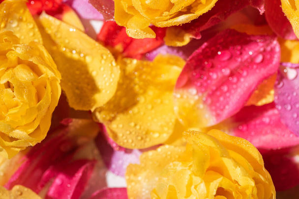 selective focus of bright tulip petals with water drops - Fotó, kép
