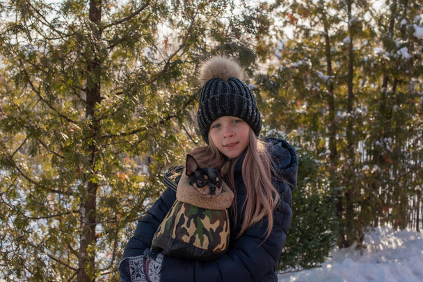 Der kleine Chihuahua-Hund wird unter der Jacke der Herrin erhitzt. Mädchen in Winterjacke und Chihuahua. 9-jähriges Mädchen in Winterjacke. Mädchen 9 Jahre alt mit einem Chihuahua. Haustier in einer Tasche. Tasche für Hunde - Foto, Bild