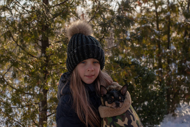 Small chihuahua dog is heated under the mistress's jacket. Girl in a winter jacket and chihuahua. Girl 9 years old in a winter jacket. Girl 9 years old with a chihuahua. pet in a bag. Bag for dogs - Photo, Image