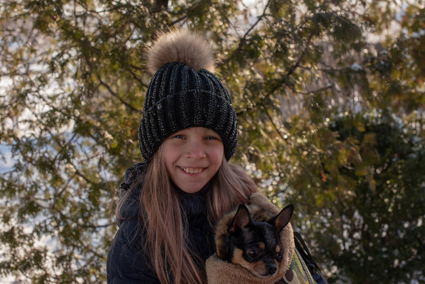 Mały pies chihuahua jest podgrzewany pod kurtkę kochanki. Dziewczyna w zimowej kurtce i chihuahua. Dziewczyna 9 lat w zimowej kurtce. Dziewięciolatka z chihuahua. zwierzątko w torbie. Worek dla psów - Zdjęcie, obraz