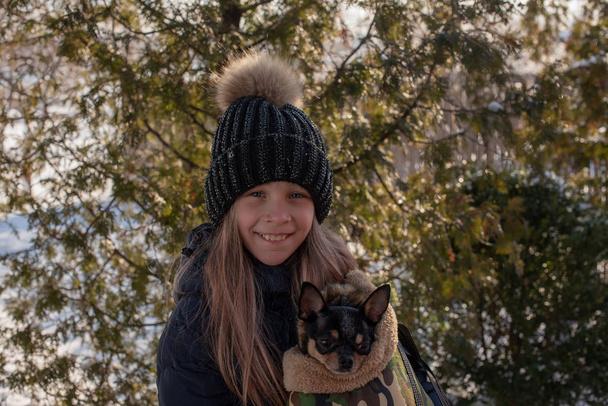 Μικρό σκυλί chihuahua θερμαίνεται κάτω από το σακάκι της ερωμένης του. Κορίτσι με χειμωνιάτικο μπουφάν και τσιουάουα. Κορίτσι 9 χρονών με χειμωνιάτικο μπουφάν. Κορίτσι 9 χρονών με τσιουάουα. κατοικίδιο σε σακούλα. Σάκος για σκύλους - Φωτογραφία, εικόνα