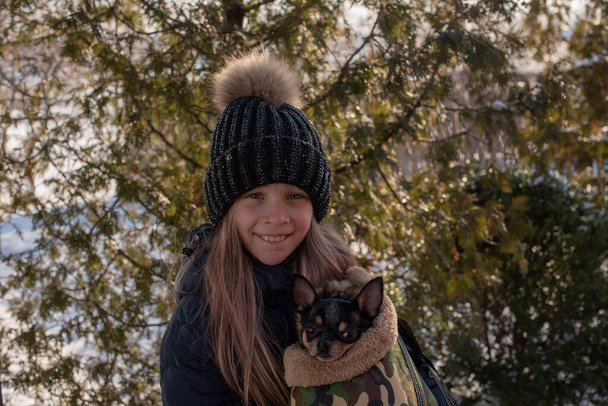 Kleine chihuahua hond wordt verwarmd onder de jas van de meesteres. Meisje in een winterjas en chihuahua. Meisje van negen in een winterjasje. Meisje van 9 met een chihuahua. huisdier in een zak. Zak voor honden - Foto, afbeelding