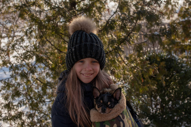 Маленькая чихуахуа-собака нагревается под курткой хозяйки. Девушка в зимней куртке и чихуахуа. Девятилетняя девочка в зимней куртке. Девятилетняя девочка с чихуахуа. питомец в сумке. Сумка для собак
 - Фото, изображение
