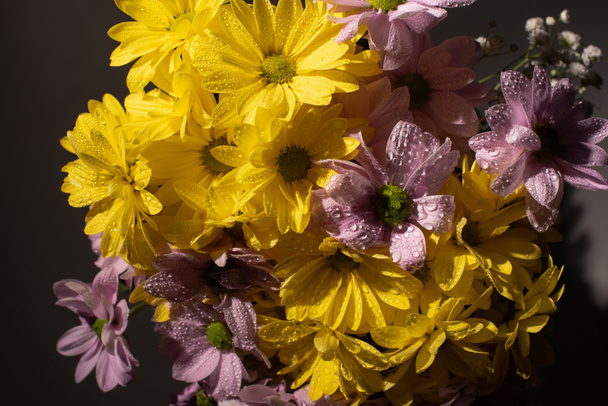 bouquet of yellow and violet daisies with water drops - Photo, Image