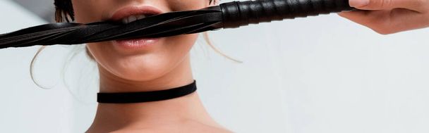 tiro panorámico de mujer sexy sosteniendo azotes látigo en los dientes
  - Foto, Imagen