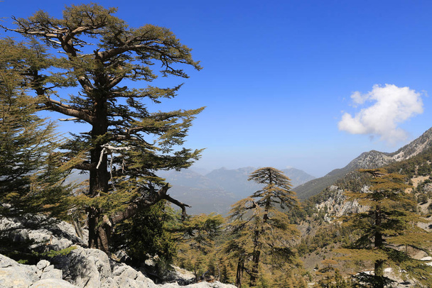 Bonito paisaje de montaña en la famosa ruta turística Likya Yolu en Turquía
 - Foto, imagen