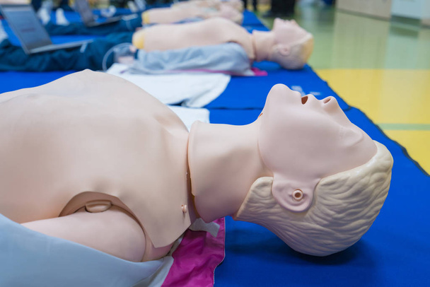 mannequin mannequin pour la formation CPR médicale en classe
. - Photo, image