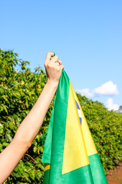 Sostiene la bandera brasileña en el viento
.  - Foto, Imagen