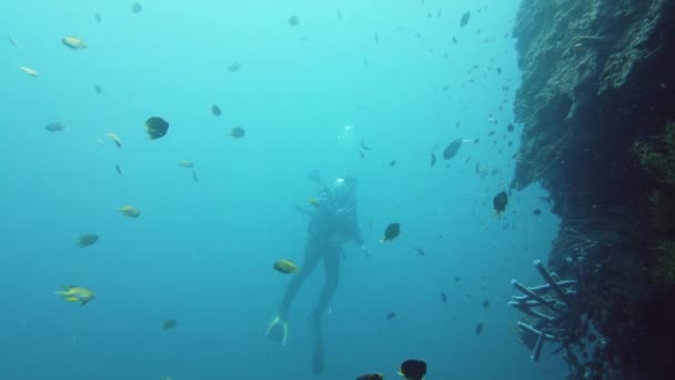 Scuba diver underwater. Leyte, Philippines. - Footage, Video