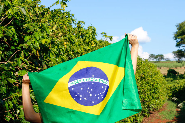 Κρατώντας τη σημαία της Βραζιλίας στον άνεμο.  - Φωτογραφία, εικόνα