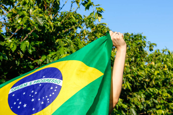 De Braziliaanse vlag in de wind houden.  - Foto, afbeelding