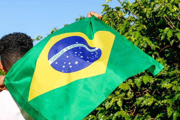 Holding the Brazilian flag in the wind.  - Photo, Image