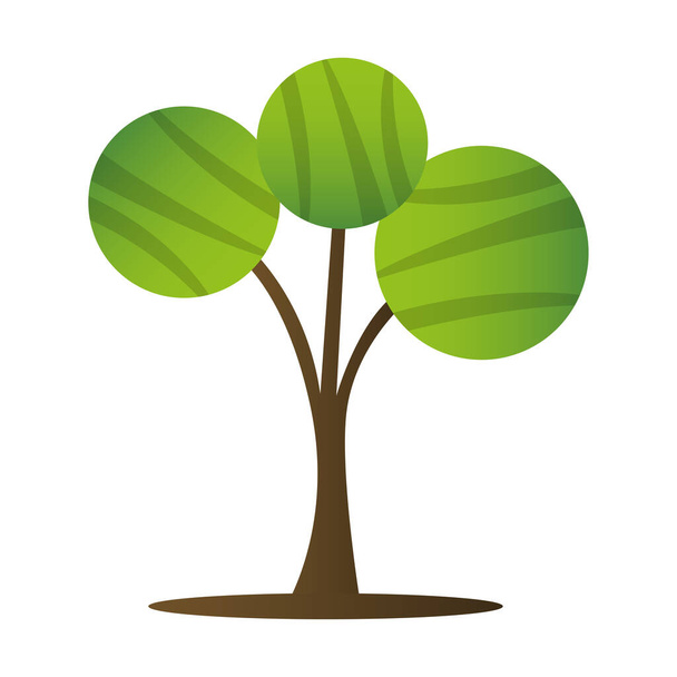 Isolated tree icon - Vector, afbeelding