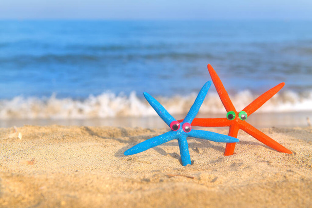 Funny colorful star fishes at the beach - Fotoğraf, Görsel