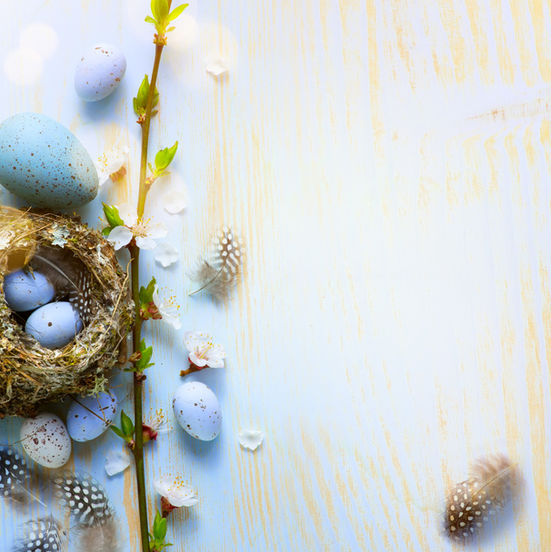 Holiday Easter banner or greeting card background; Spring tree flowers and Easter eggs in birds nest on sunny light  wooden backgroun - 写真・画像