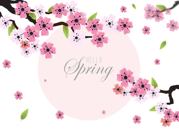 Blossoming light pink sakura flowers - Vektör, Görsel