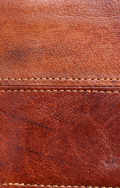 Brown purse - Photo, Image