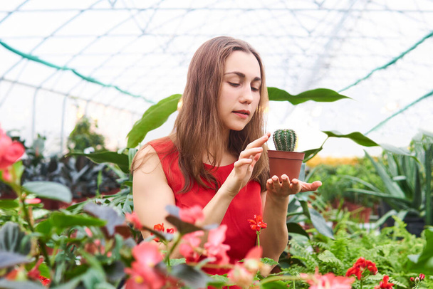 young woman in a red dress among red flowers in one hand holds a cactus in a flower pot and gently touches it with the tip of her free hand finger - Foto, afbeelding