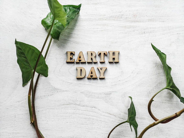 Earth Day. Beautiful greeting card. Isolated background, close-up, view from above, wooden surface. Congratulations for relatives, friends and colleagues - Фото, изображение