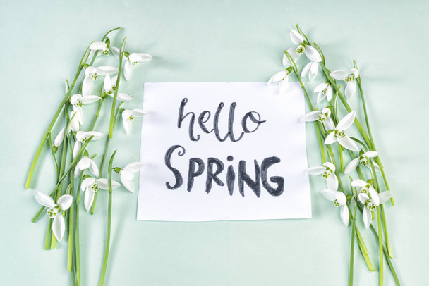 Hallo Frühling Kalligraphie Note mit Schneeglöckchen auf hellgrünem Hintergrund dekoriert. - Foto, Bild